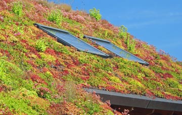 Woodditton living roof systems